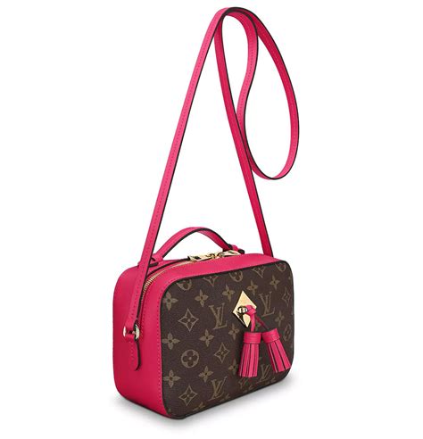 lv camera bag saintonge|The Louis Vuitton Saintonge Bag is the Brand’s Latest.